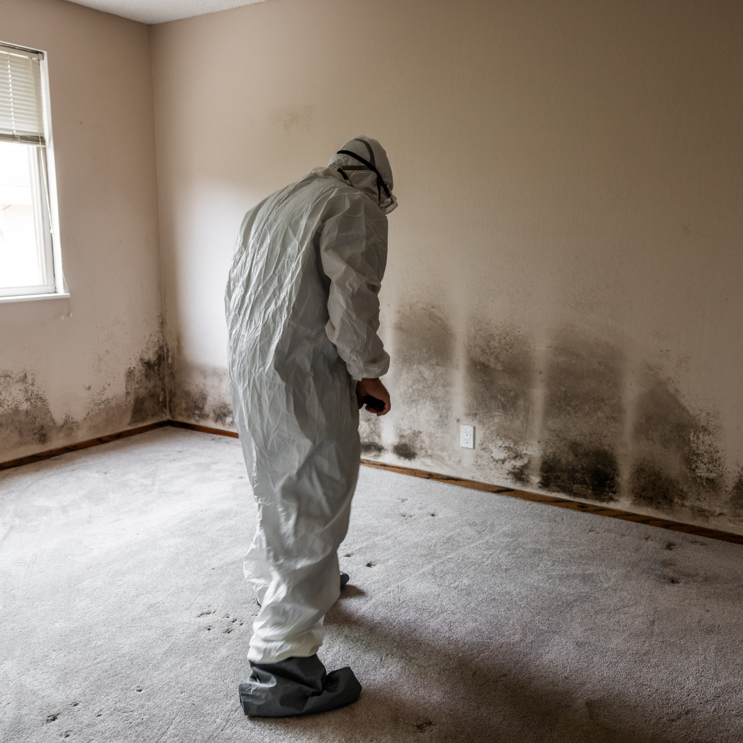 Deep Cleaning Services in Hidalgo County